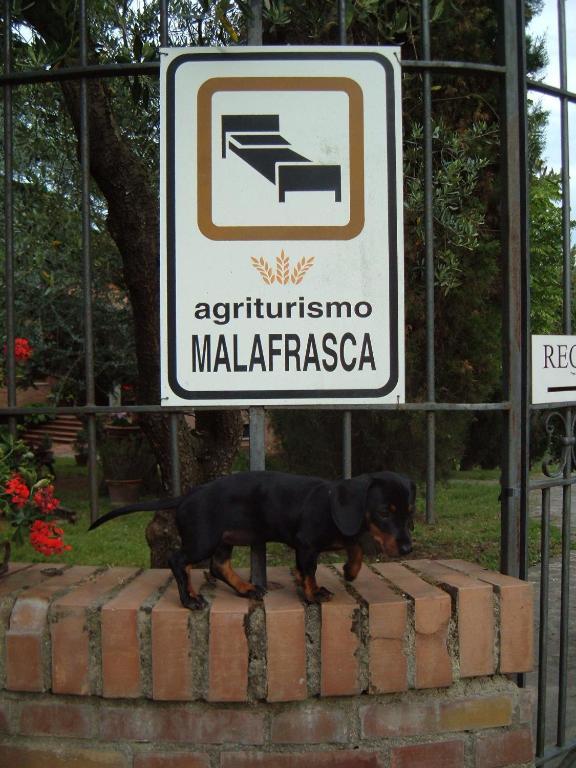 시에나 Agriturismo Malafrasca 빌라 외부 사진